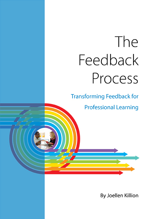 the-feedback-process the-feedback-process